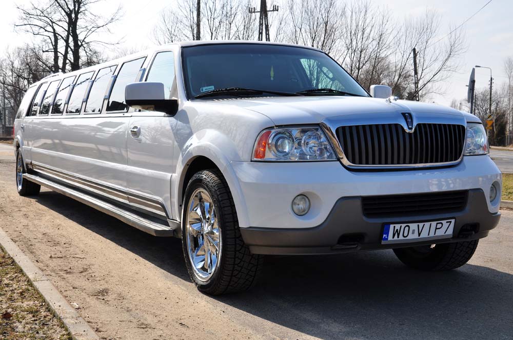 18 passenger Navigator limo in WROCLAW